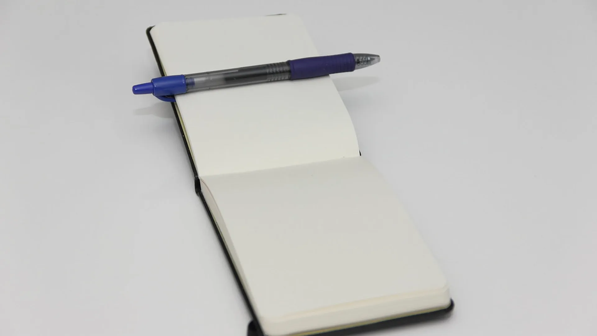 Nova Daily Report editor reviewing wire copy before publication