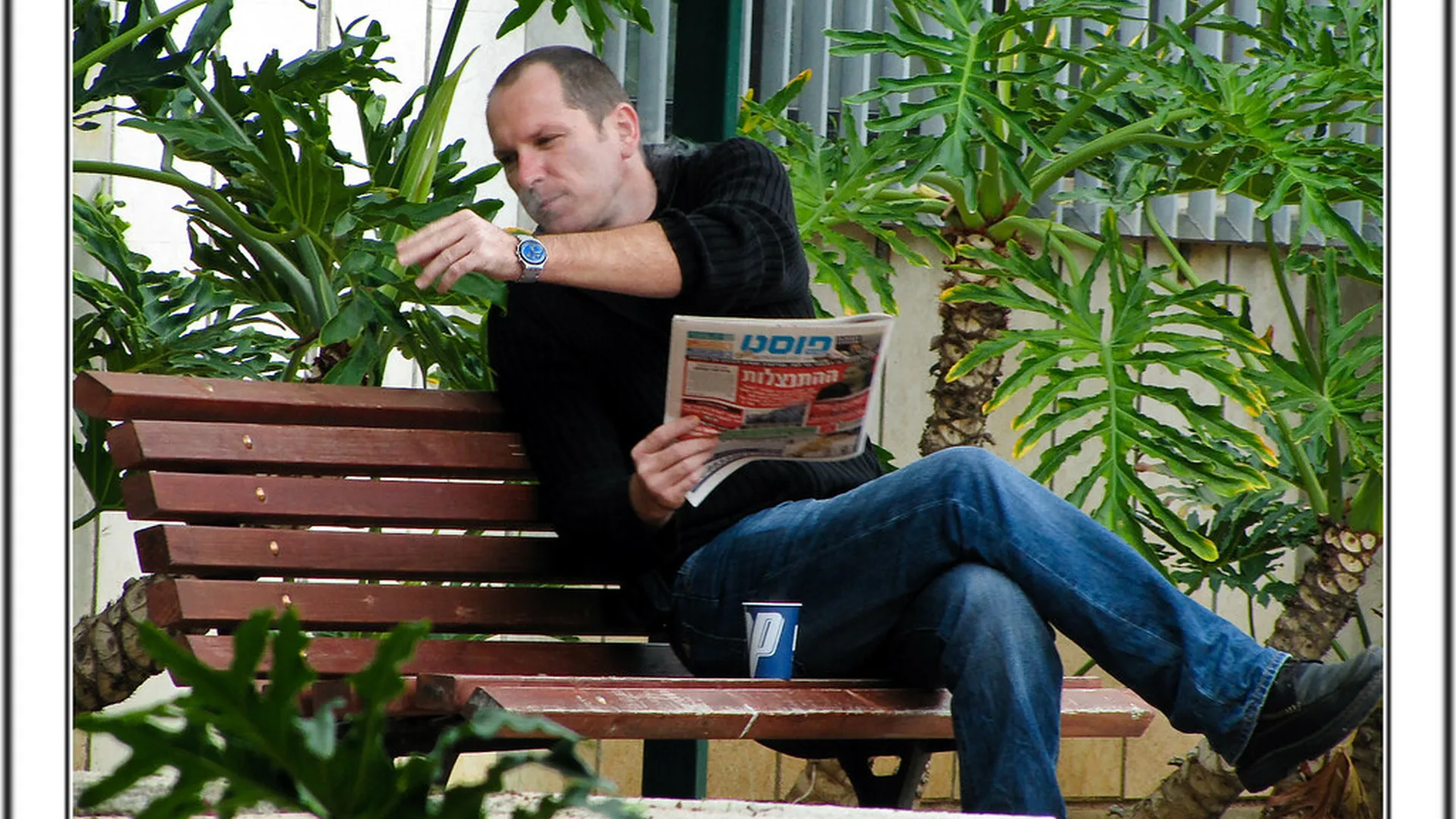 Person comparing several news sources on a laptop screen